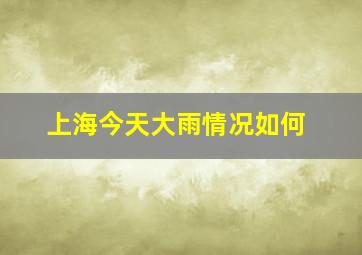 上海今天大雨情况如何