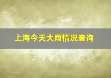 上海今天大雨情况查询