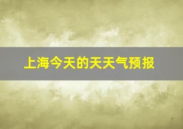 上海今天的天天气预报