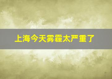 上海今天雾霾太严重了