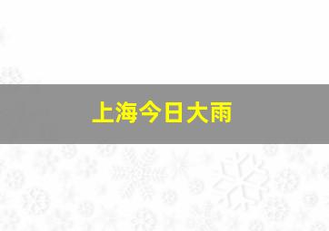 上海今日大雨