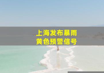 上海发布暴雨黄色预警信号