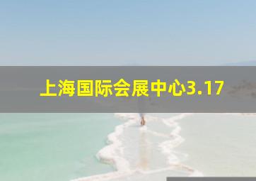 上海国际会展中心3.17