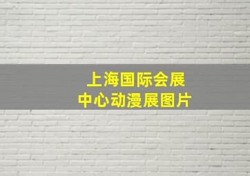 上海国际会展中心动漫展图片