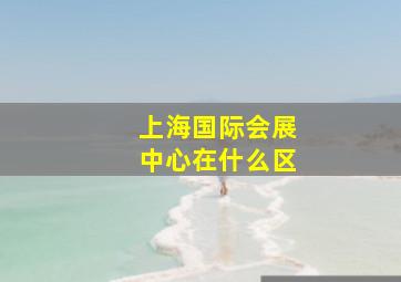 上海国际会展中心在什么区