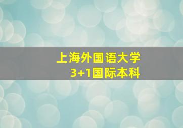 上海外国语大学3+1国际本科