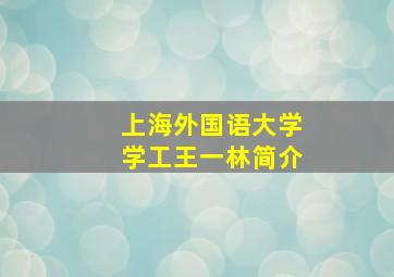 上海外国语大学学工王一林简介