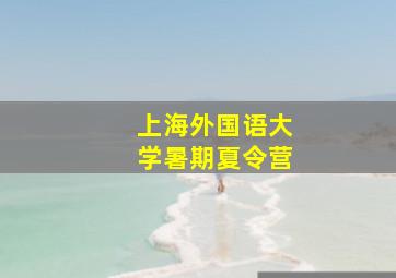 上海外国语大学暑期夏令营