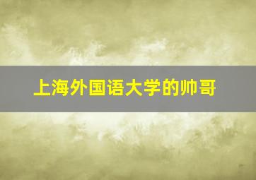 上海外国语大学的帅哥