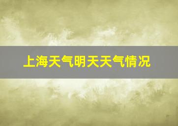 上海天气明天天气情况