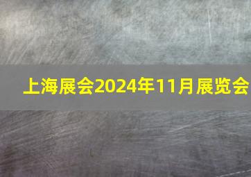 上海展会2024年11月展览会