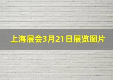 上海展会3月21日展览图片