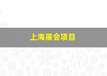 上海展会项目