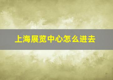 上海展览中心怎么进去