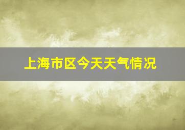 上海市区今天天气情况