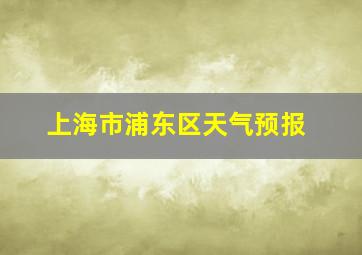 上海市浦东区天气预报