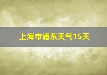 上海市浦东天气15天