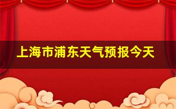 上海市浦东天气预报今天