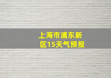 上海市浦东新区15天气预报