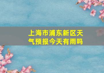 上海市浦东新区天气预报今天有雨吗