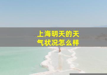 上海明天的天气状况怎么样