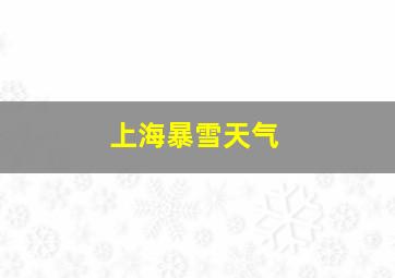 上海暴雪天气