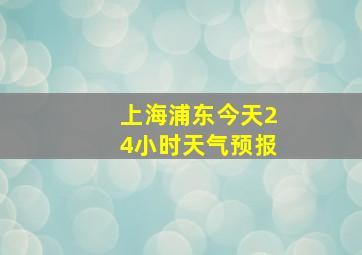 上海浦东今天24小时天气预报