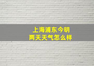 上海浦东今明两天天气怎么样