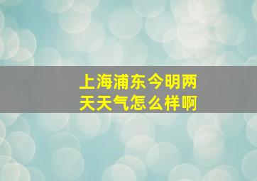 上海浦东今明两天天气怎么样啊