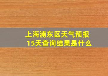 上海浦东区天气预报15天查询结果是什么