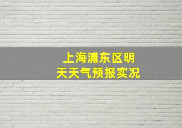 上海浦东区明天天气预报实况