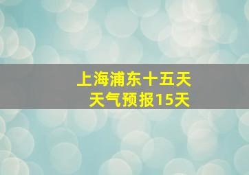 上海浦东十五天天气预报15天