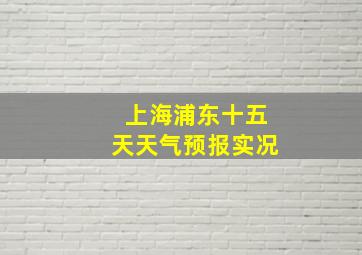 上海浦东十五天天气预报实况