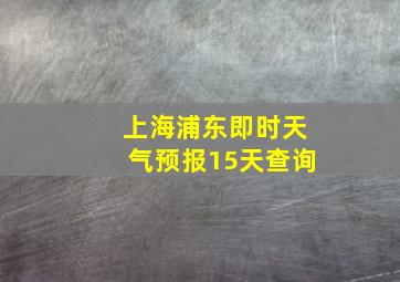 上海浦东即时天气预报15天查询