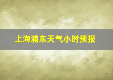 上海浦东天气小时预报