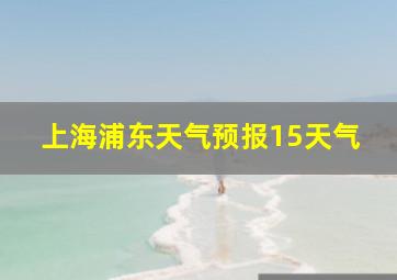 上海浦东天气预报15天气