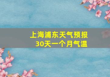 上海浦东天气预报30天一个月气温