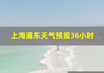 上海浦东天气预报36小时