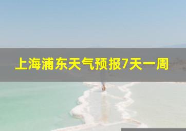 上海浦东天气预报7天一周