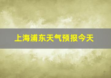 上海浦东天气预报今天