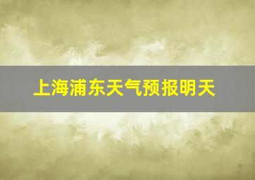 上海浦东天气预报明天