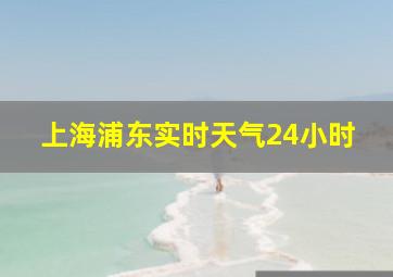 上海浦东实时天气24小时