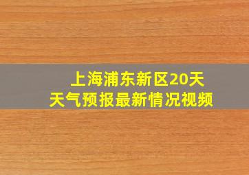 上海浦东新区20天天气预报最新情况视频