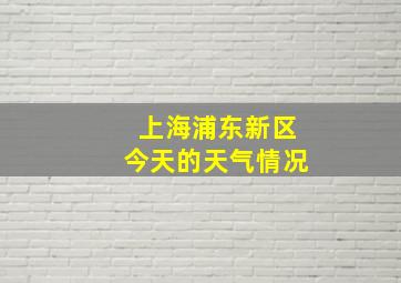 上海浦东新区今天的天气情况