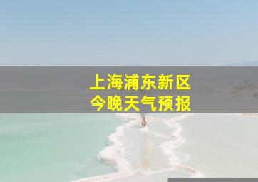 上海浦东新区今晚天气预报