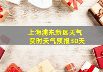 上海浦东新区天气实时天气预报30天