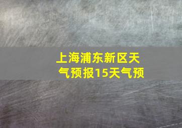 上海浦东新区天气预报15天气预