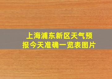 上海浦东新区天气预报今天准确一览表图片