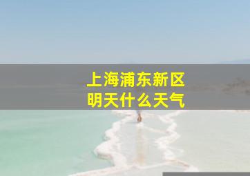 上海浦东新区明天什么天气