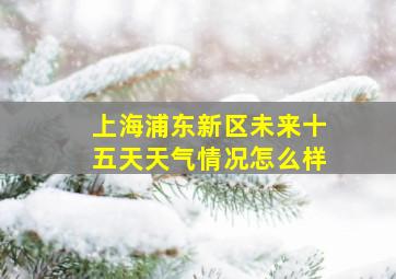 上海浦东新区未来十五天天气情况怎么样